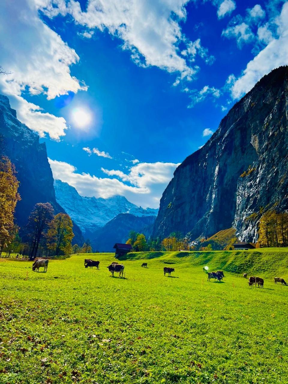 Chalet Rosa B&B Lauterbrunnen Exterior photo